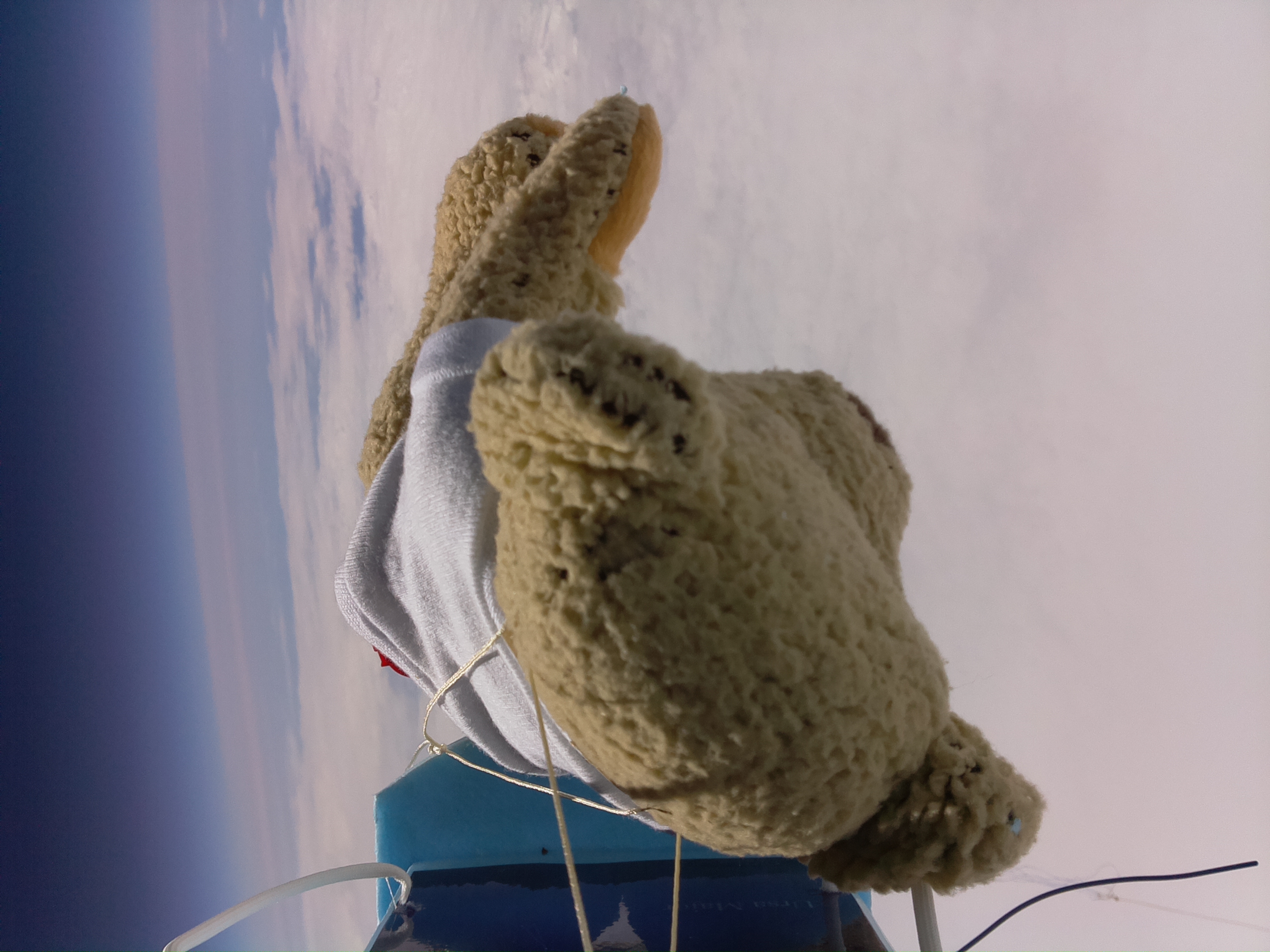 Geek insider, geekinsider, geekinsider. Com,, baumgartner beaten by a teddy bear and raspberry pi! , living